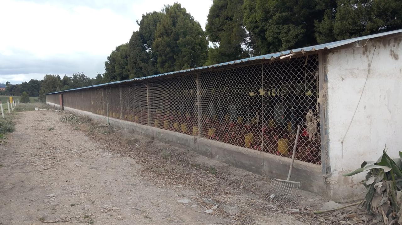 Galería Tierra Santa